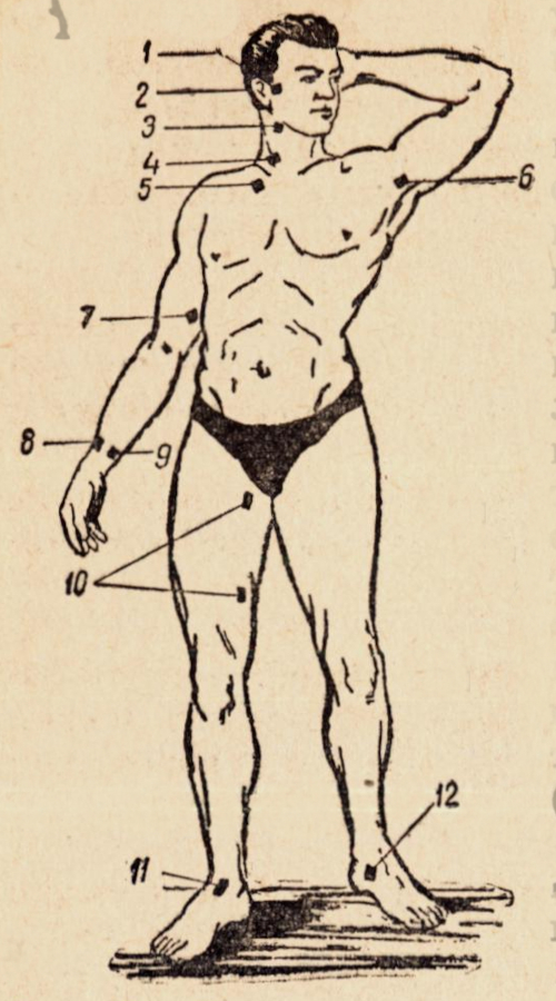 Точки прижатия важнейших артерий